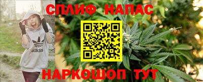 молекула духа Коммунар