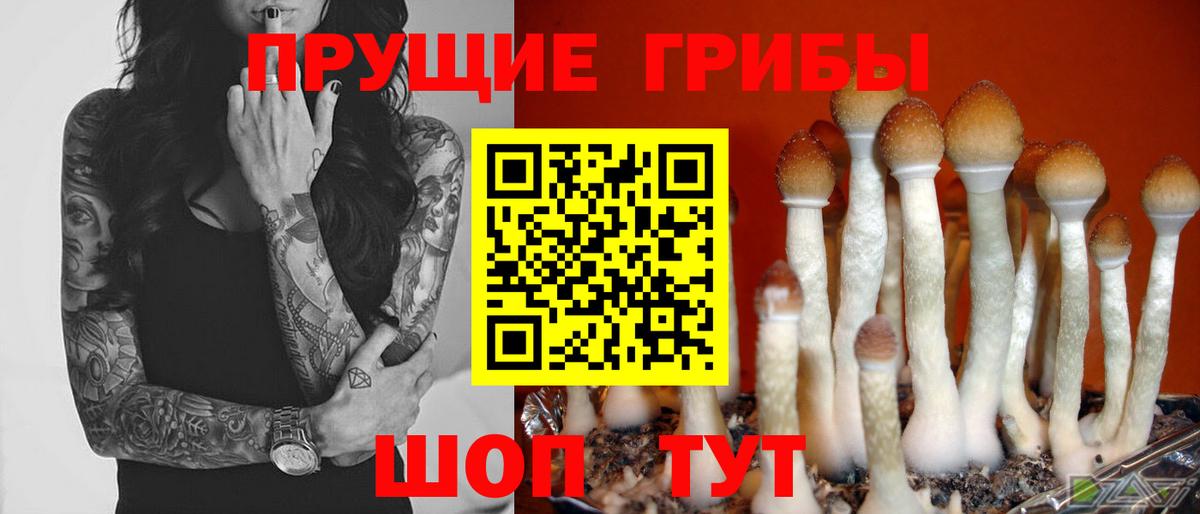 Псилоцибиновые грибы Magic Shrooms Кинель